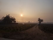 Gel de printemps : le pire a été évité !